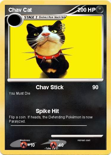 Pokemon Chav Cat