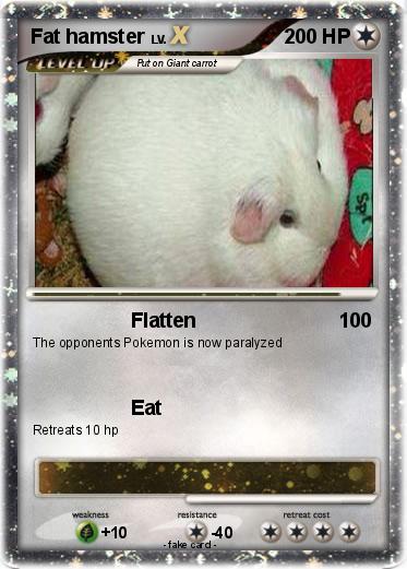 Pokemon Fat hamster