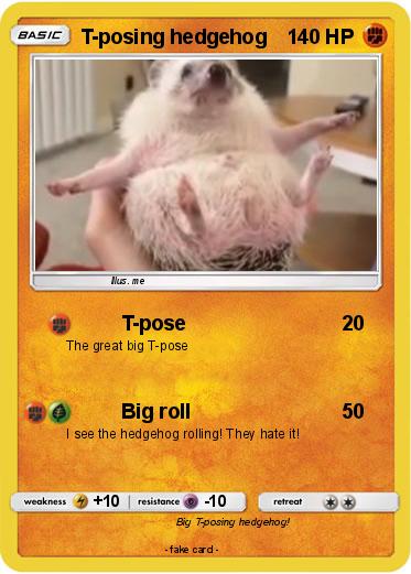 Pokemon T-posing hedgehog