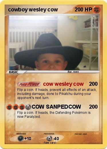 Pokemon cowboy wesley cow