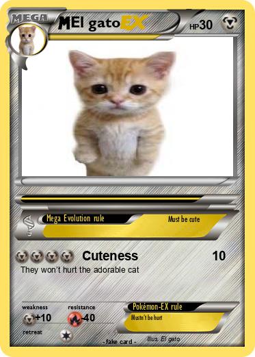 Pokemon El gato