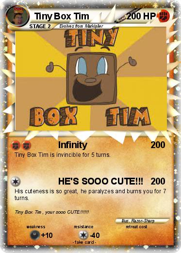 Pokemon Tiny Box Tim