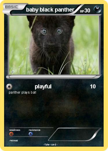 Pokemon baby black panther