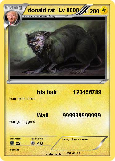 Pokemon donald rat  Lv 9000