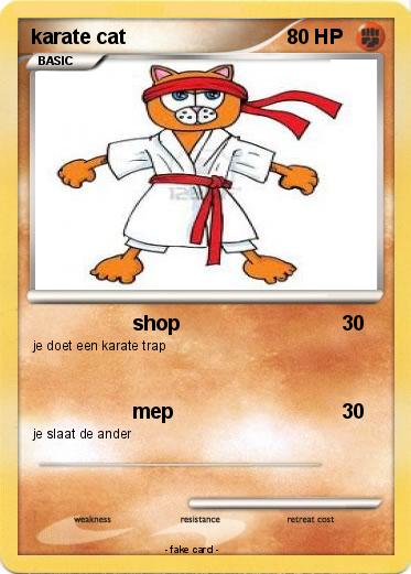 Pokemon karate cat