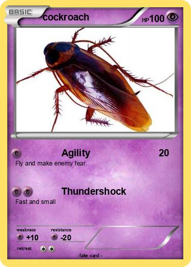 Pokemon cockroach