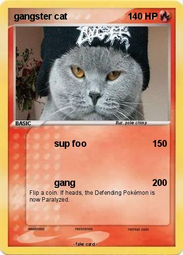 Pokemon gangster cat