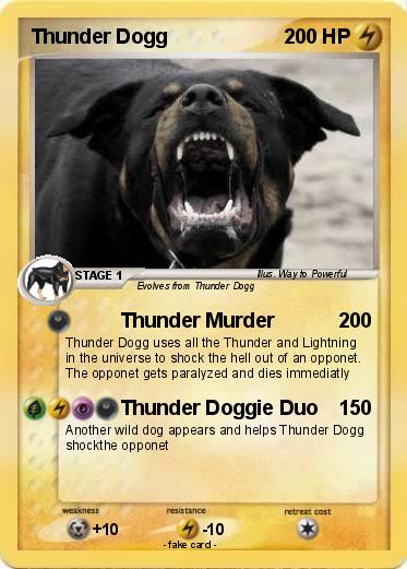 Pokemon Thunder Dogg