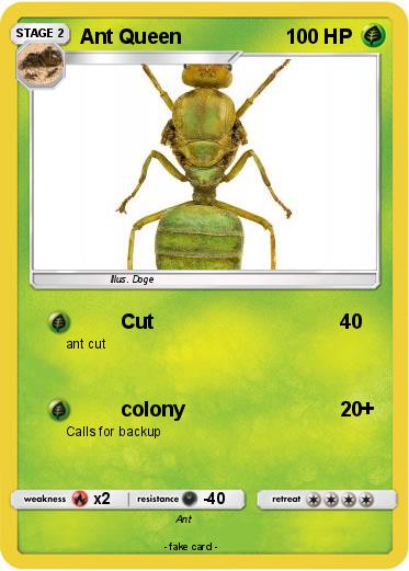 Pokemon Ant Queen