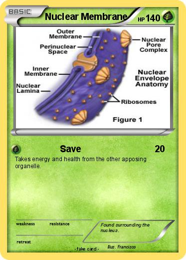 Pokemon Nuclear Membrane