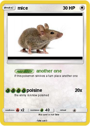 Pokemon mice