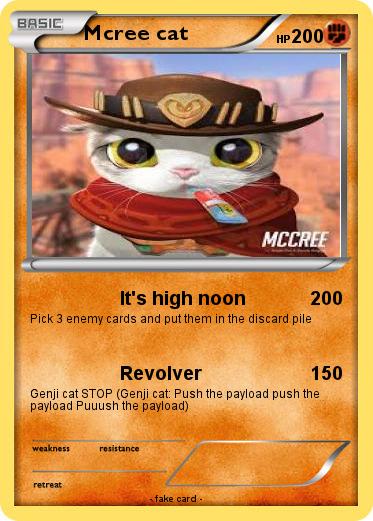 Pokemon Mcree cat