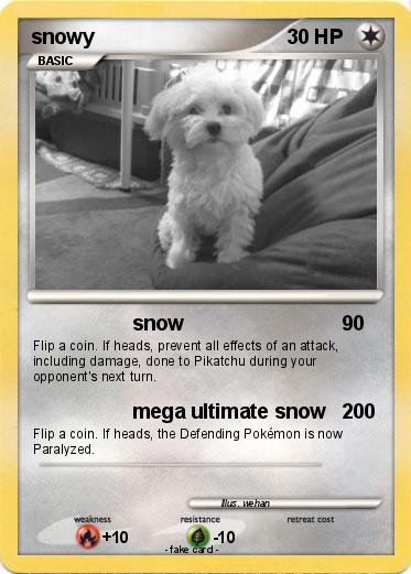 Pokemon snowy