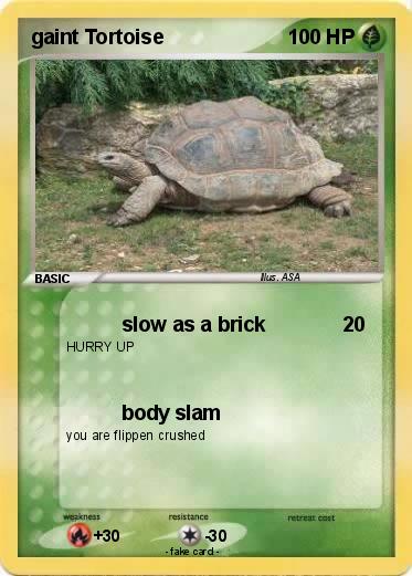 Pokemon gaint Tortoise