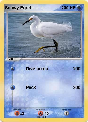 Pokemon Snowy Egret