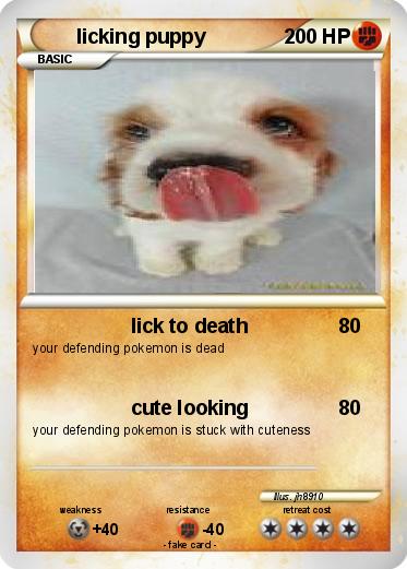 Pokemon licking puppy