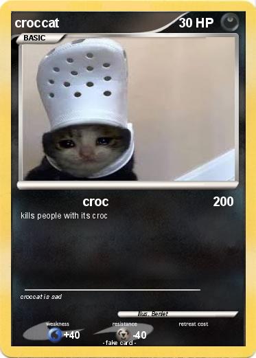 Pokemon croccat