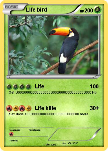 Pokemon Life bird