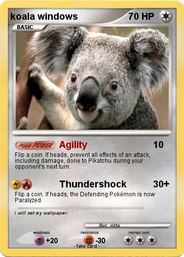 Pokemon koala windows