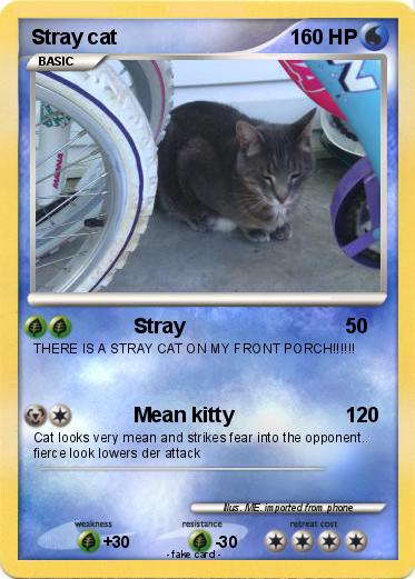 Pokemon Stray cat