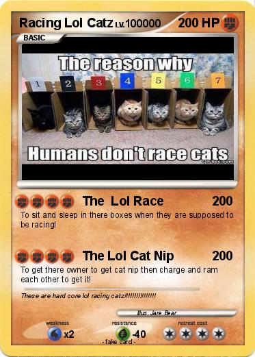 Pokemon Racing Lol Catz