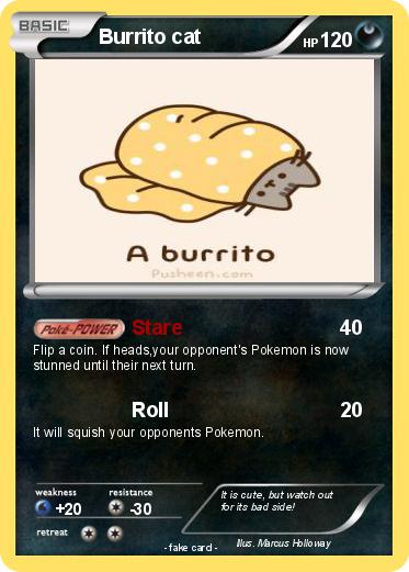 Pokemon Burrito cat