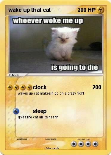 Pokemon wake up that cat