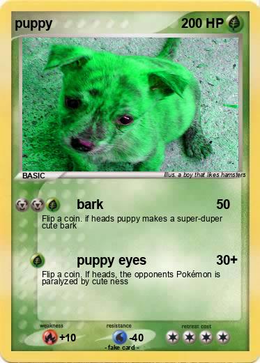 Pokemon puppy
