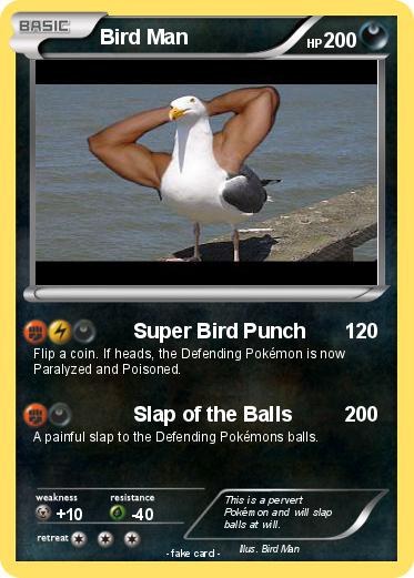 Pokemon Bird Man