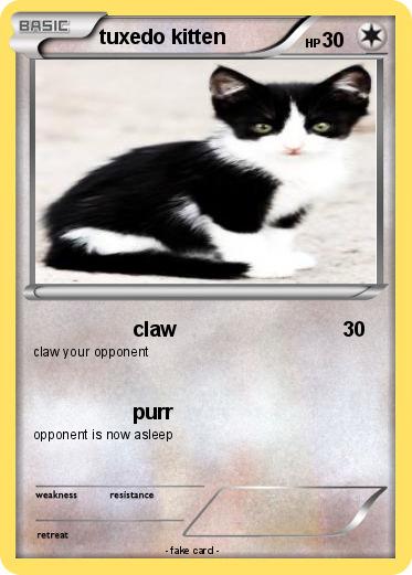 Pokemon tuxedo kitten