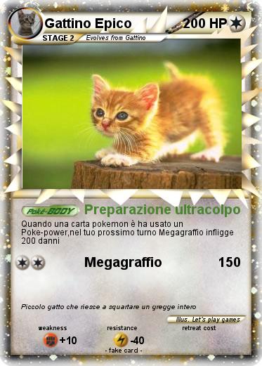 Pokemon Gattino Epico