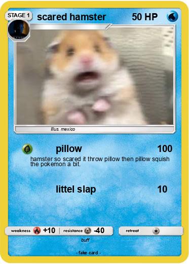 Pokemon scared hamster