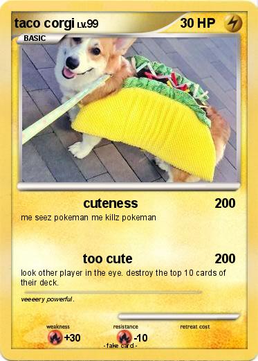 Pokemon taco corgi