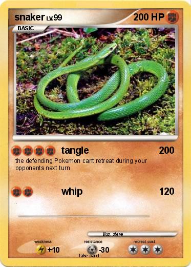 Pokemon snaker
