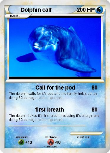 Pokemon Dolphin calf