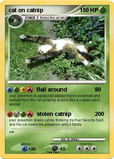 Pokemon cat on catnip