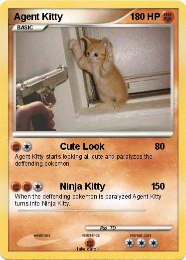 Pokemon Agent Kitty