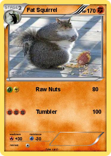 Pokemon Fat Squirrel