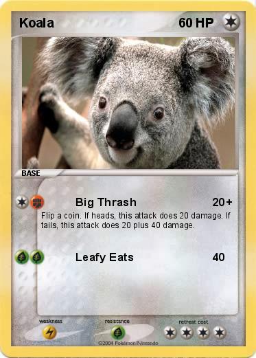 Pokemon Koala