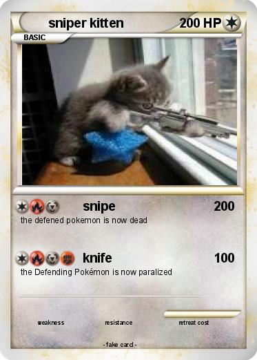 Pokemon sniper kitten