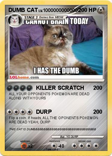 Pokemon DUMB CAT