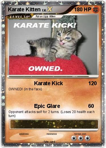 Pokemon Karate Kitten