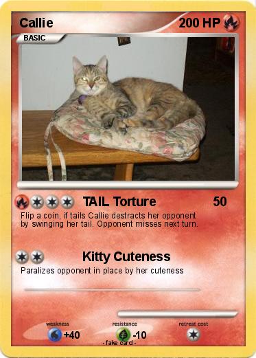 Pokemon Callie