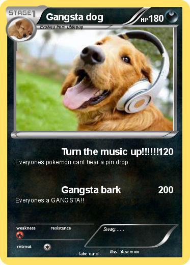 Pokemon Gangsta dog