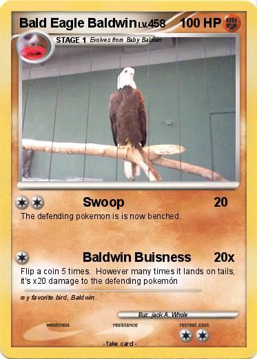 Pokemon Bald Eagle Baldwin