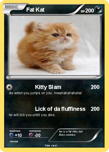 Pokemon Fat Kat
