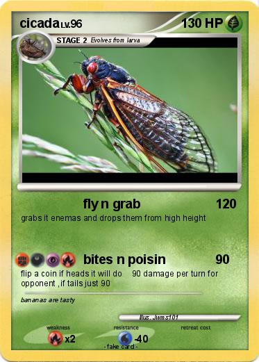 Pokemon cicada