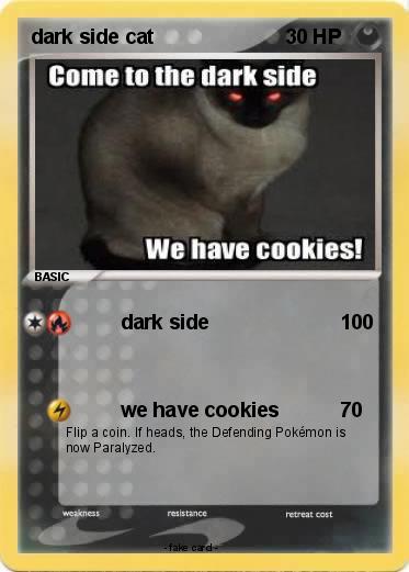 Pokemon dark side cat