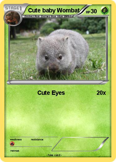 Pokemon Cute baby Wombat