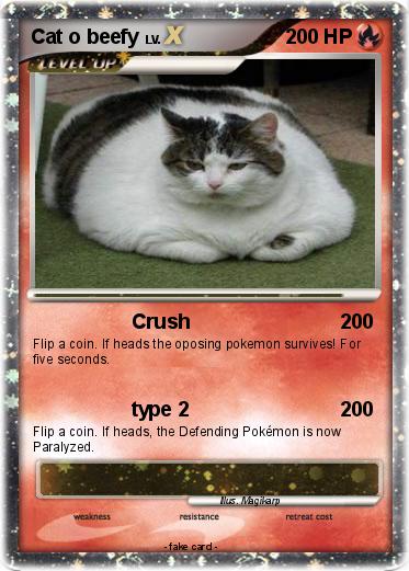 Pokemon Cat o beefy